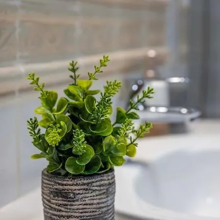 Azure Loft Boutique * Tabaiba